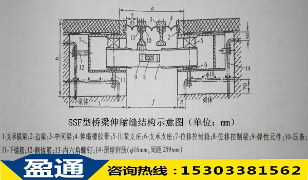 SSF型橋梁伸縮縫結構示意圖